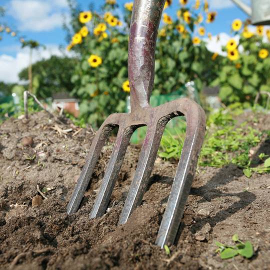 garden fork tool