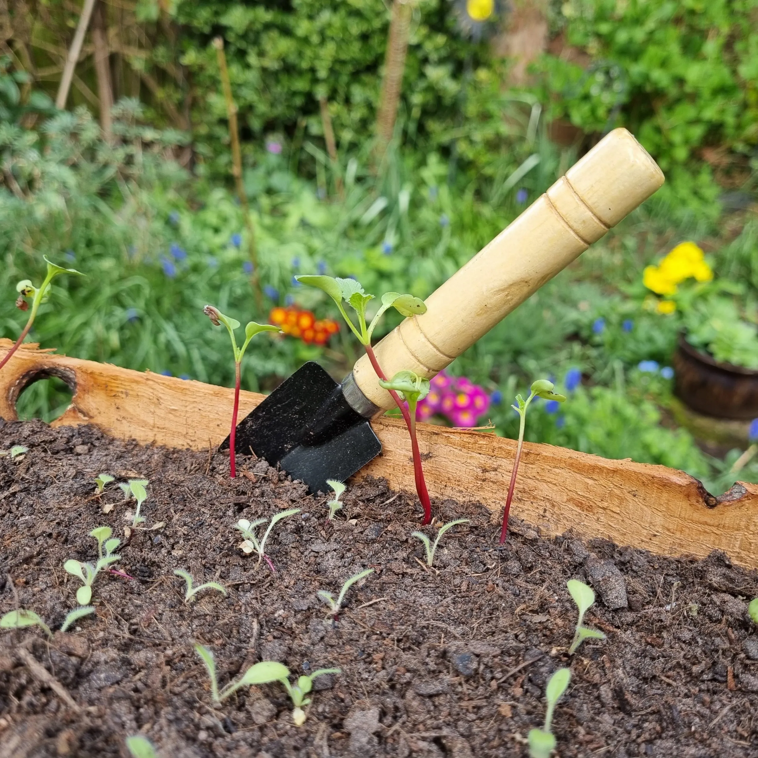 Essential Planting Tools