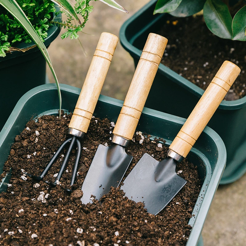 Essential Planting Tools