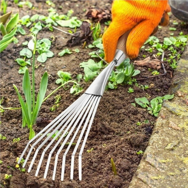 gardening rake