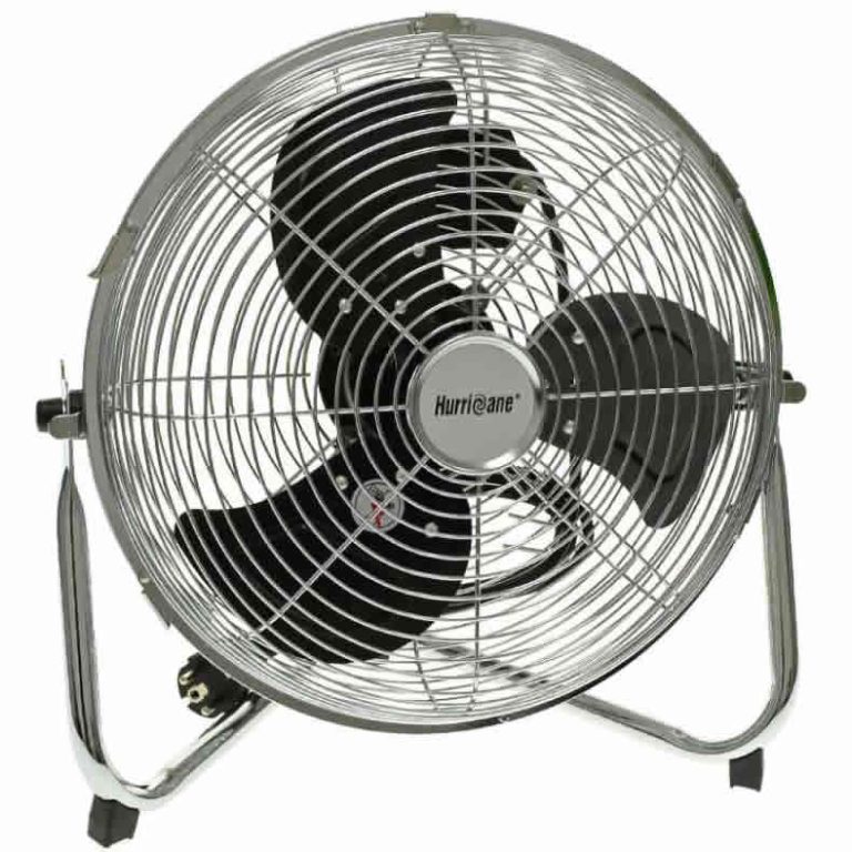 The Versatile World of Fan