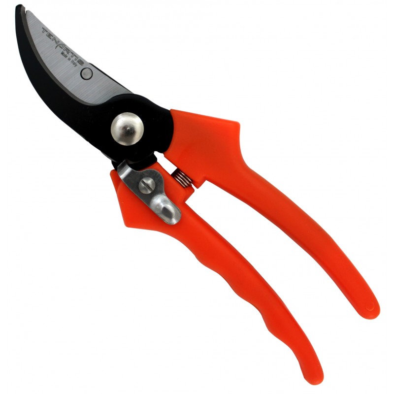 garden pruning tools