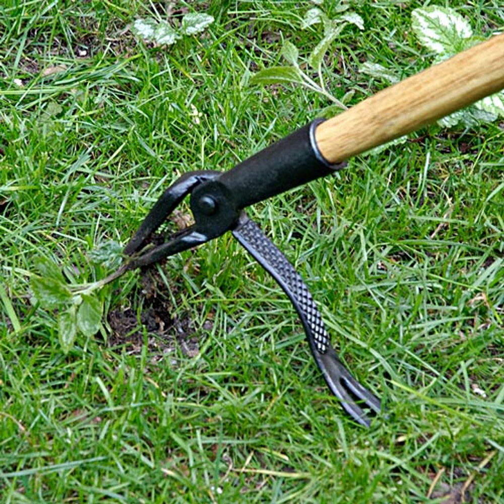 tools for garden
