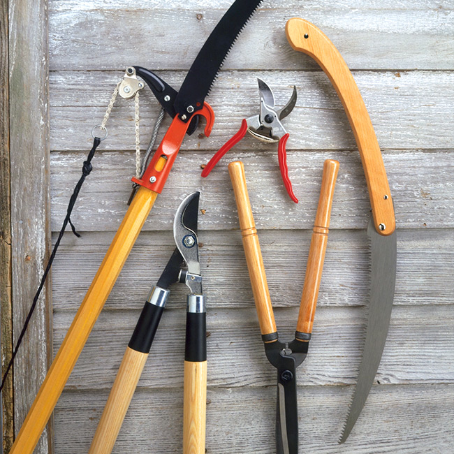 must have garden tools