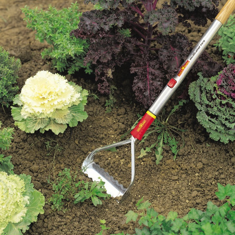 garden weeding tools