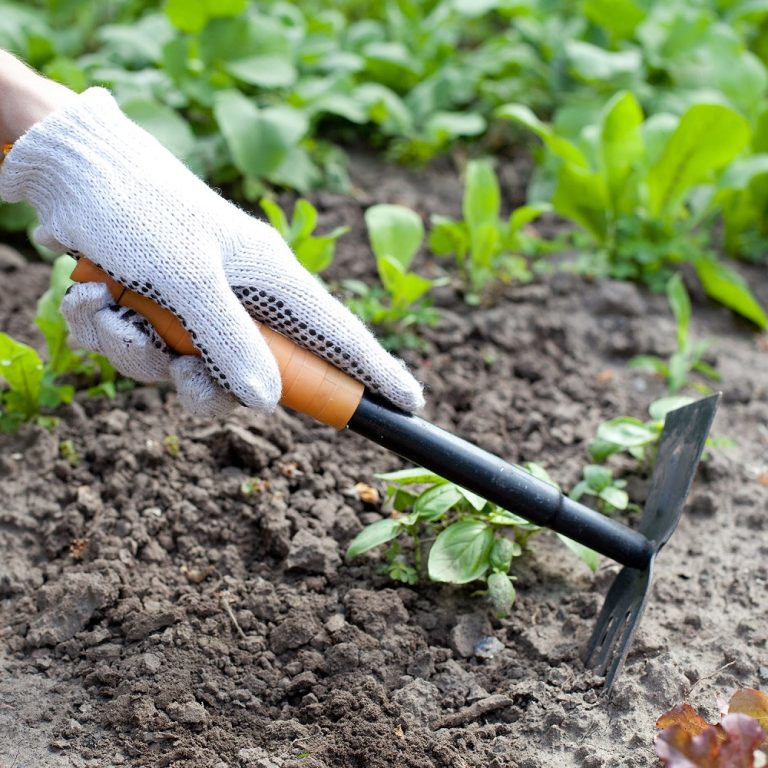 How to Clean Garden Tools: Best Products for Effective Cleaning