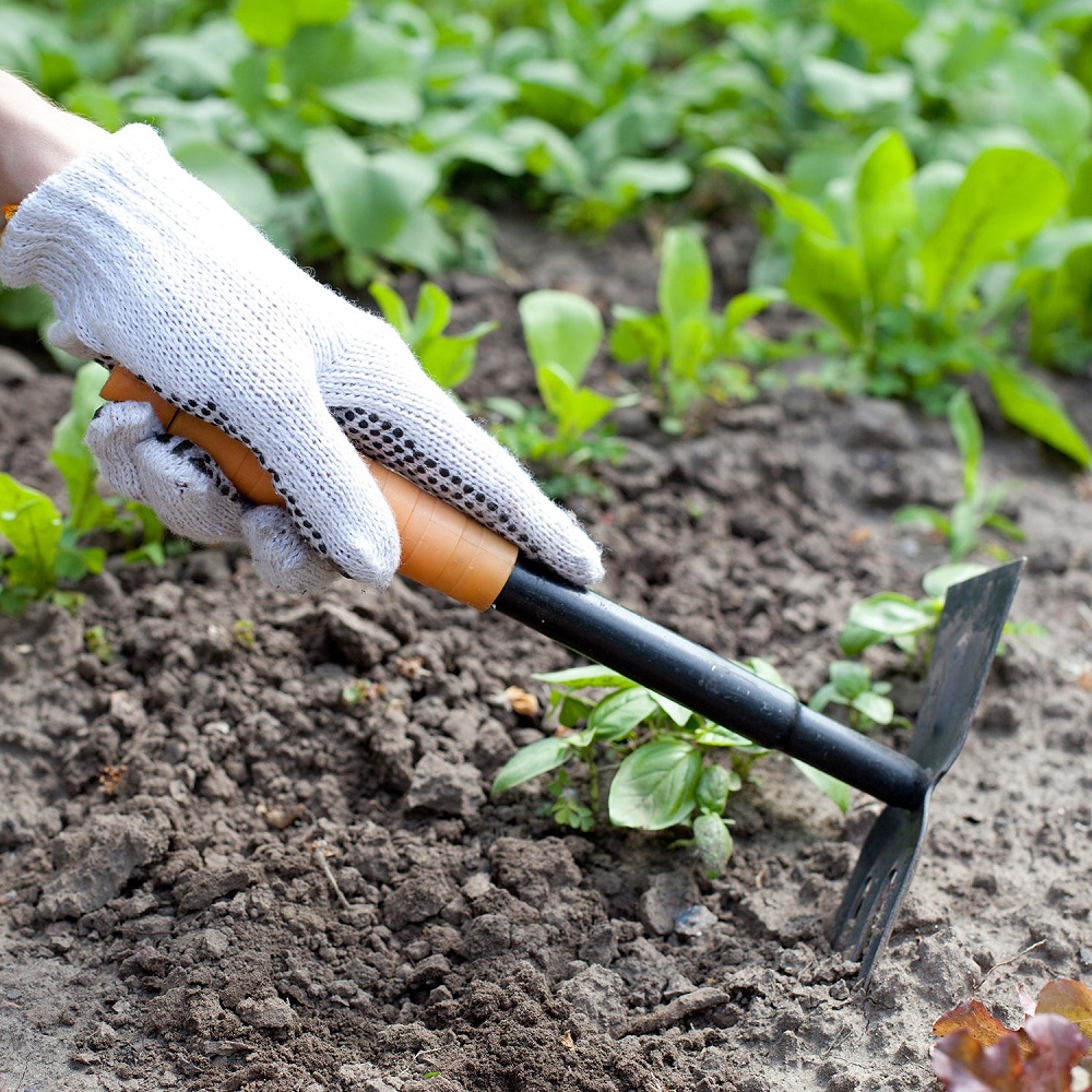 How to Clean Garden Tools: Best Products for Effective Cleaning