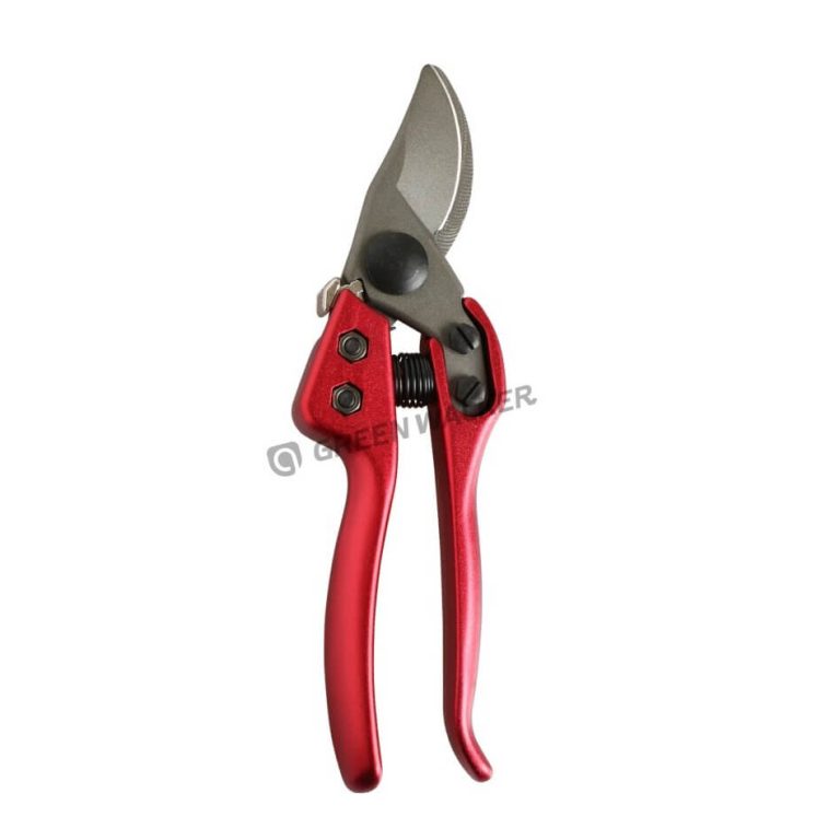 Garden Pruning Tools: Essential Equipment for Healthy Plants
