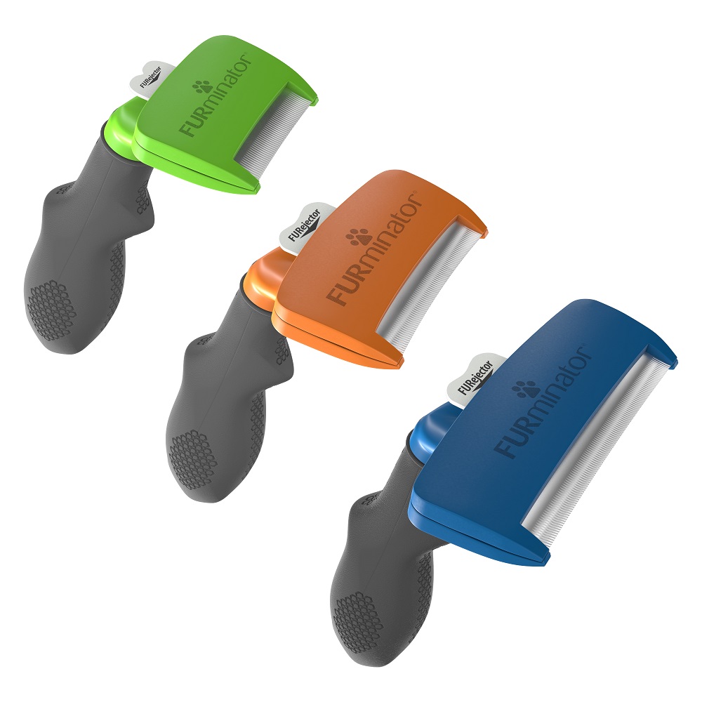 Dog Grooming Tools: Choosing Safe Clippers and Nail Trimmers