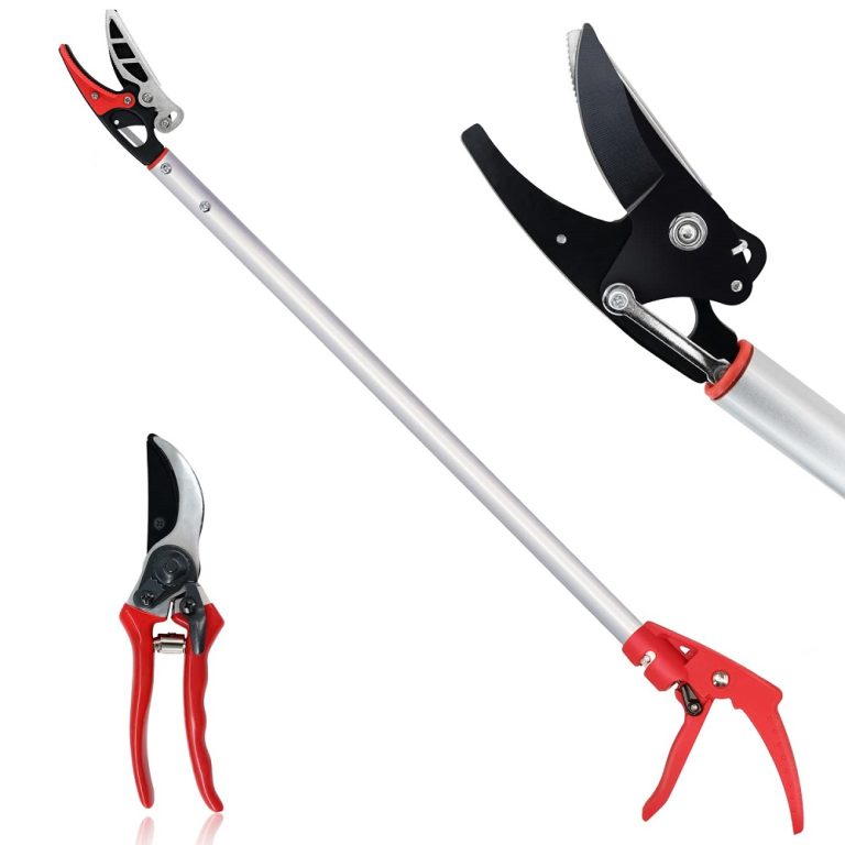 Tree Trimming Tools: Top Essentials for Maintaining Healthy Trees
