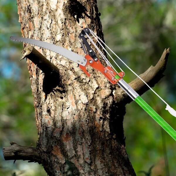 tree trimming tools
