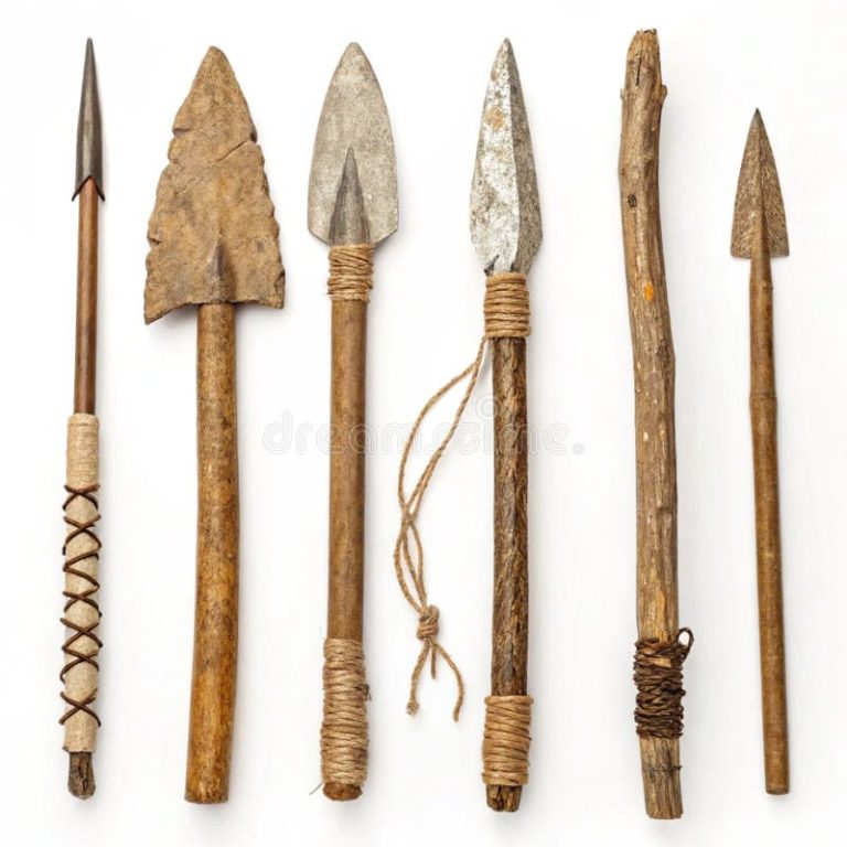 Stone Tools: Understanding Their Importance in Human Evolution