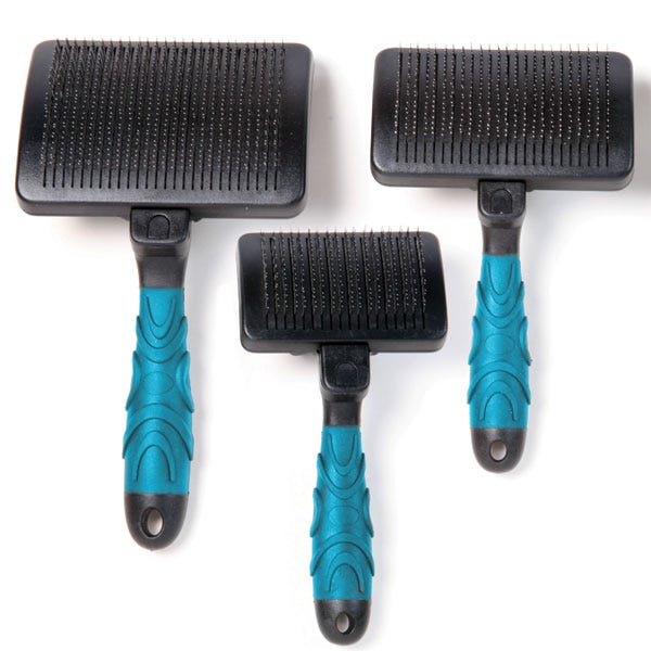dog grooming tools